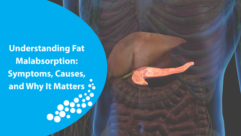 Illustration of pancreas and digestive enzymes