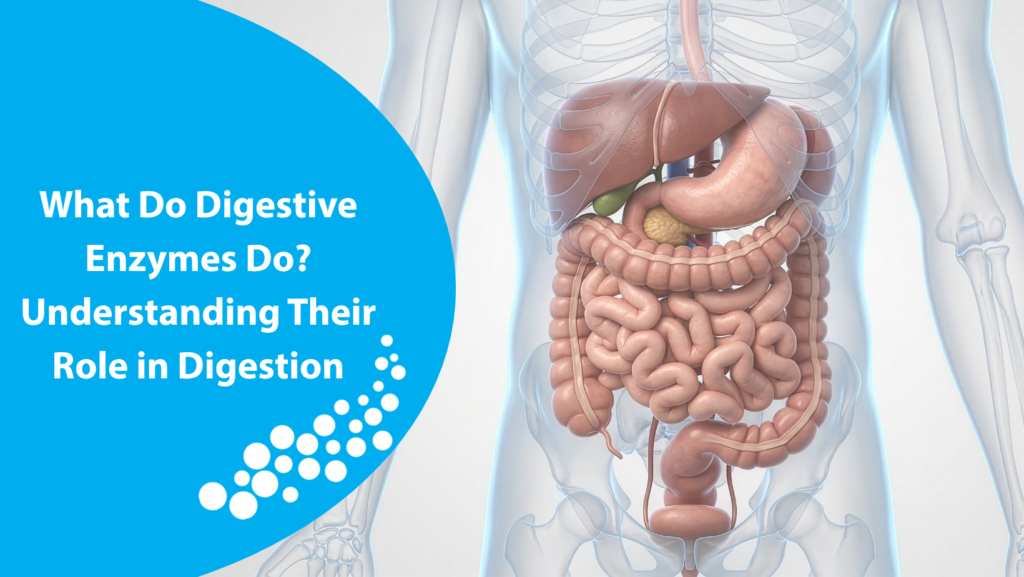Digestive health and nutrient absorption infographic